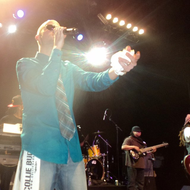 Collie Buddz