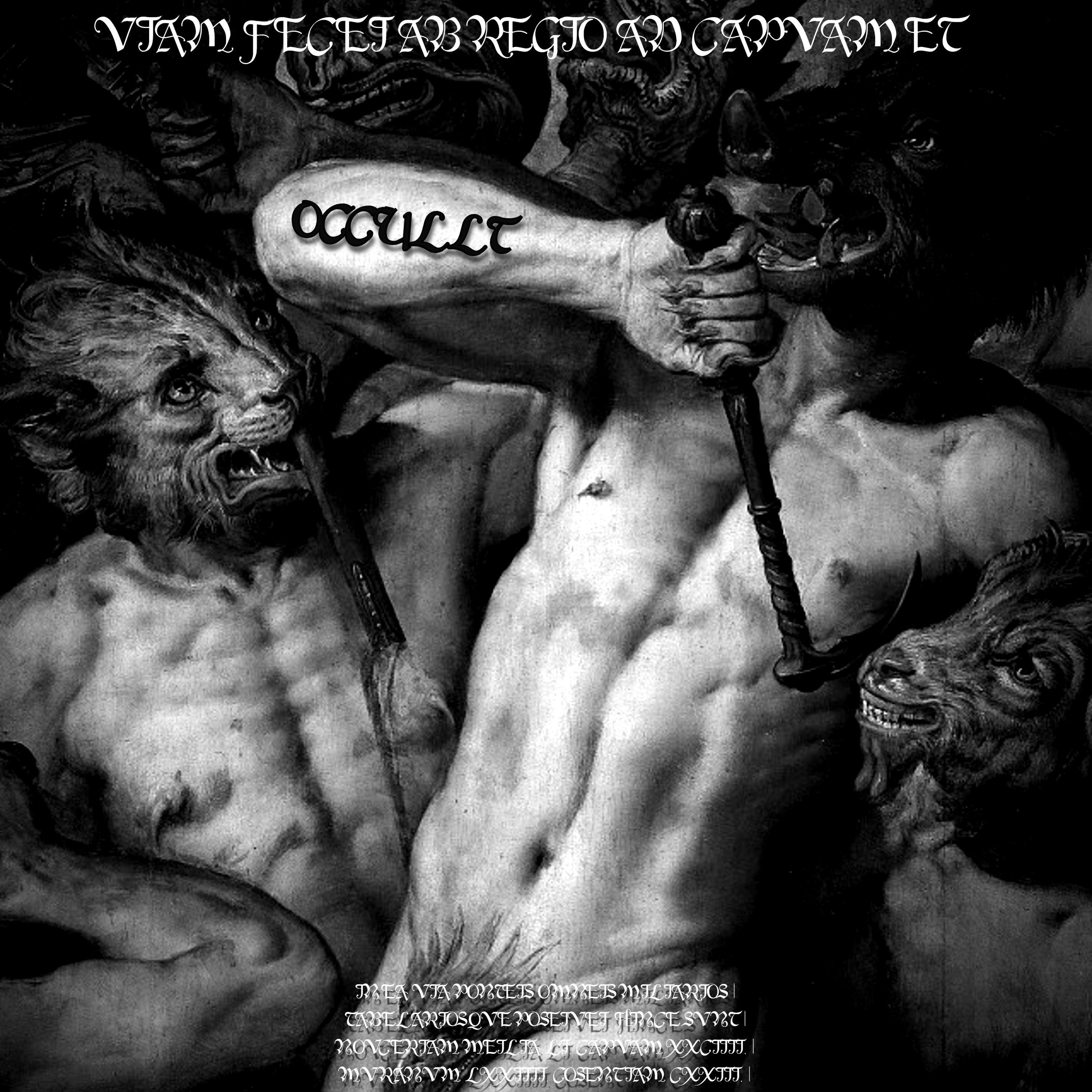 OCCULT(slowed+reverb) cover art