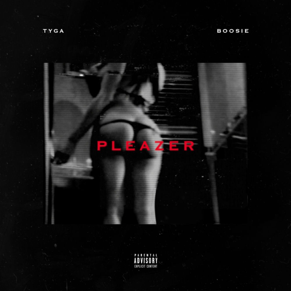 Pleazer (feat. Boosie Badazz) cover art
