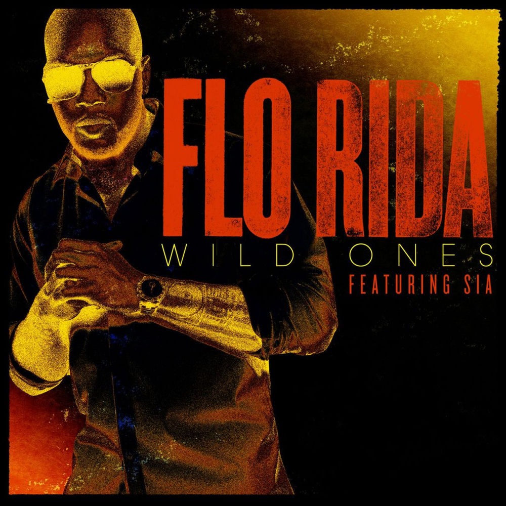 Wild Ones (feat. Sia) cover art