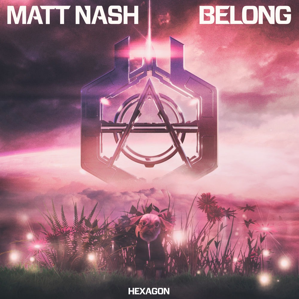 Belong cover art