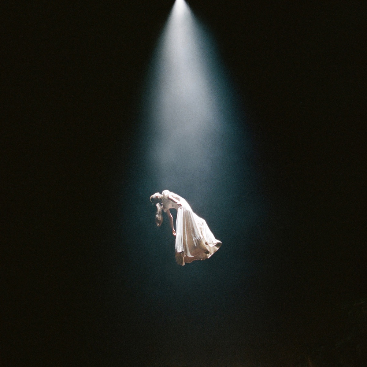dandelion cover art