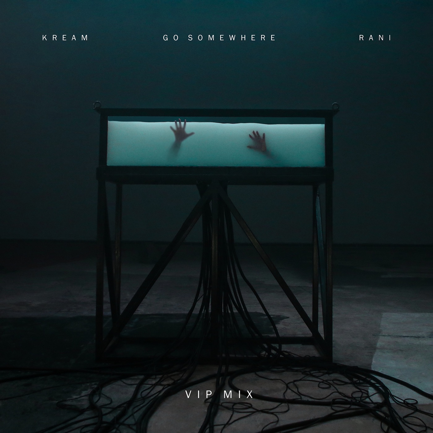 Go Somewhere - VIP Mix cover art