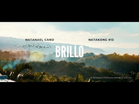 Brillo