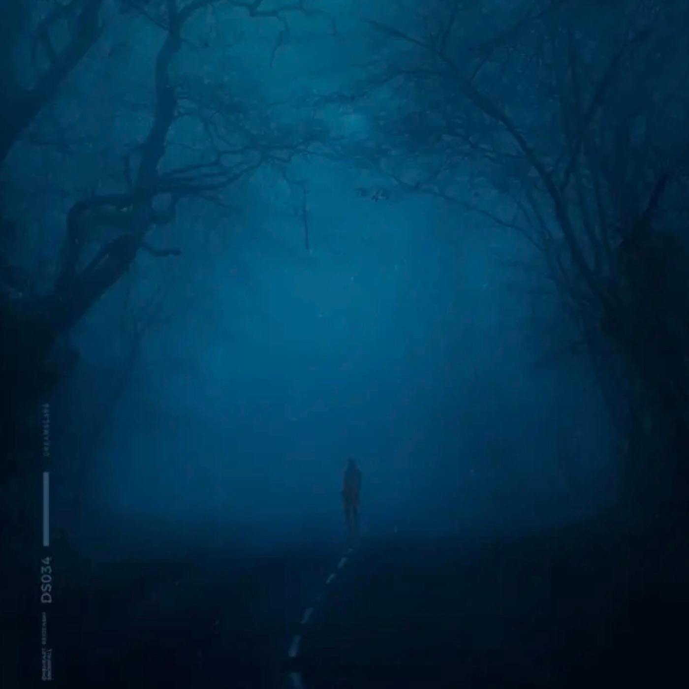 Shadow Lady cover art