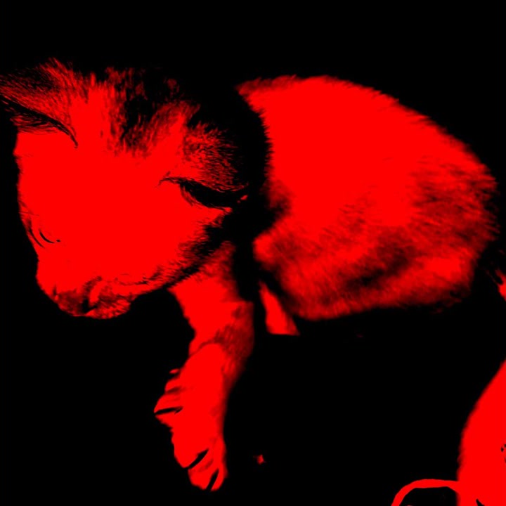 noir - sl0wed down cover art