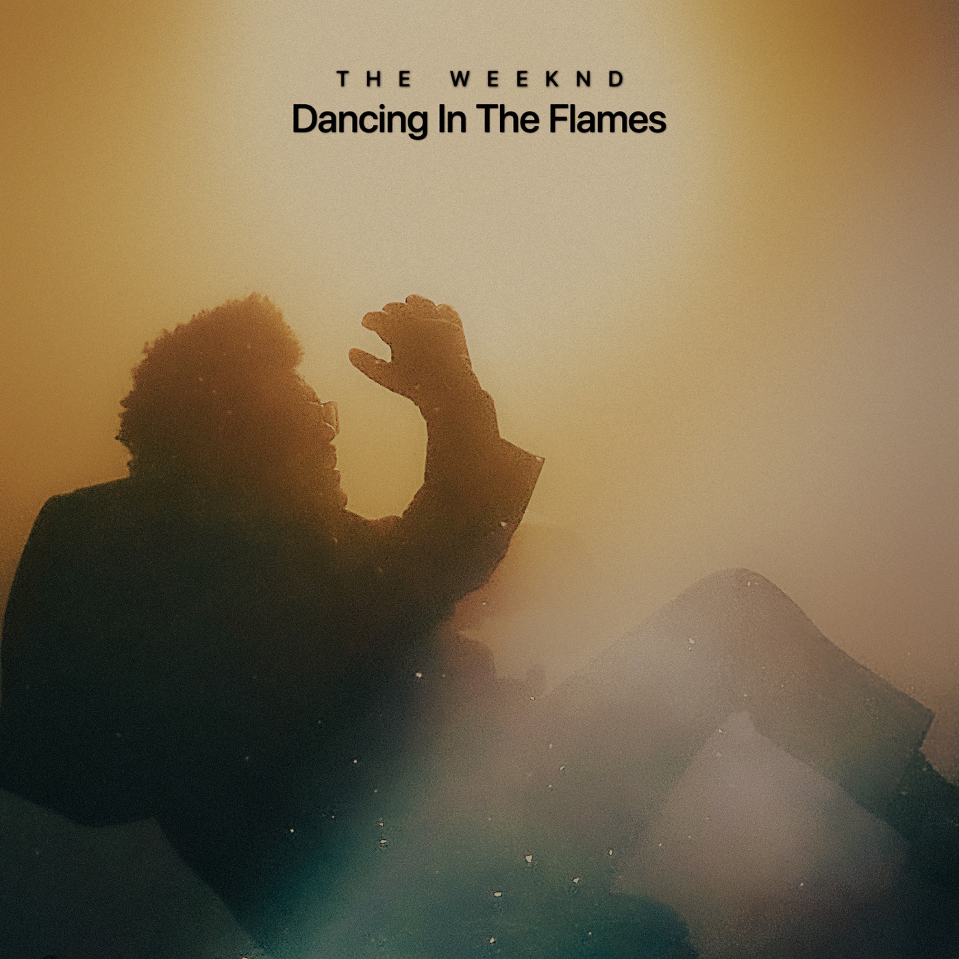 Dancing In The Flames cover art