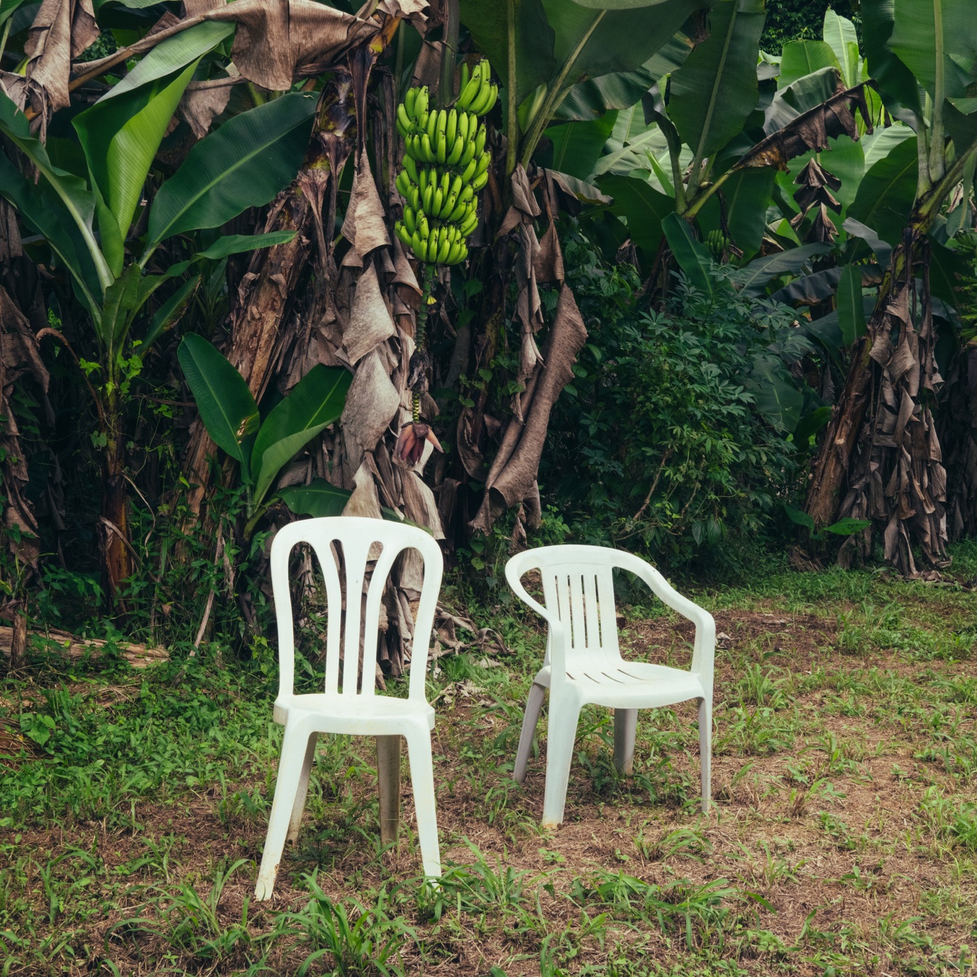 NUEVAYoL cover art