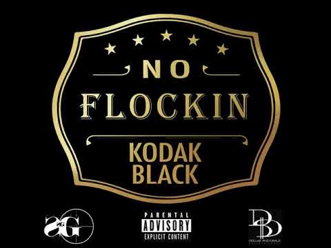 No Flockin cover art