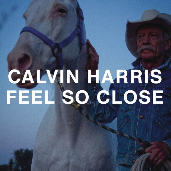 Feel So Close (Benny Benassi Remix) cover art