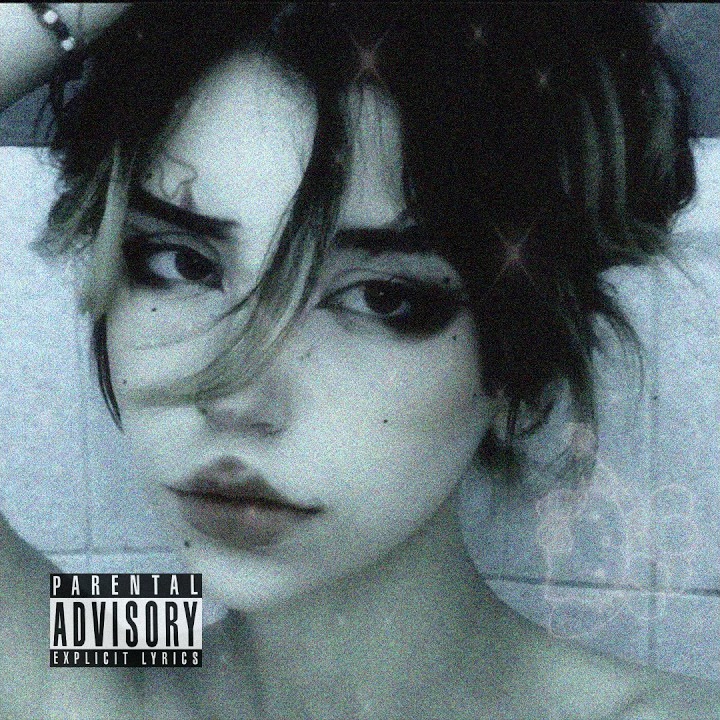 midnight cover art