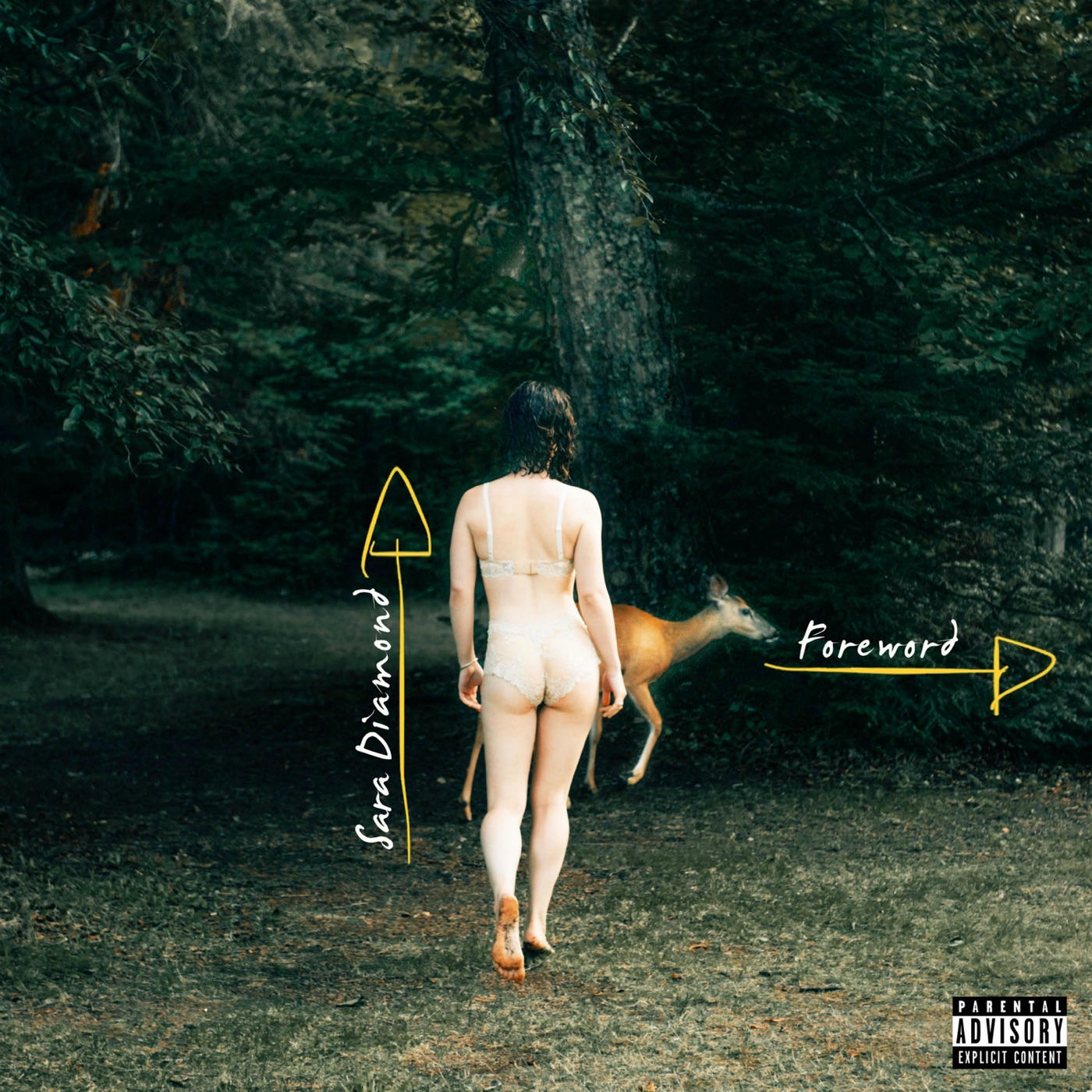 Foreword cover art