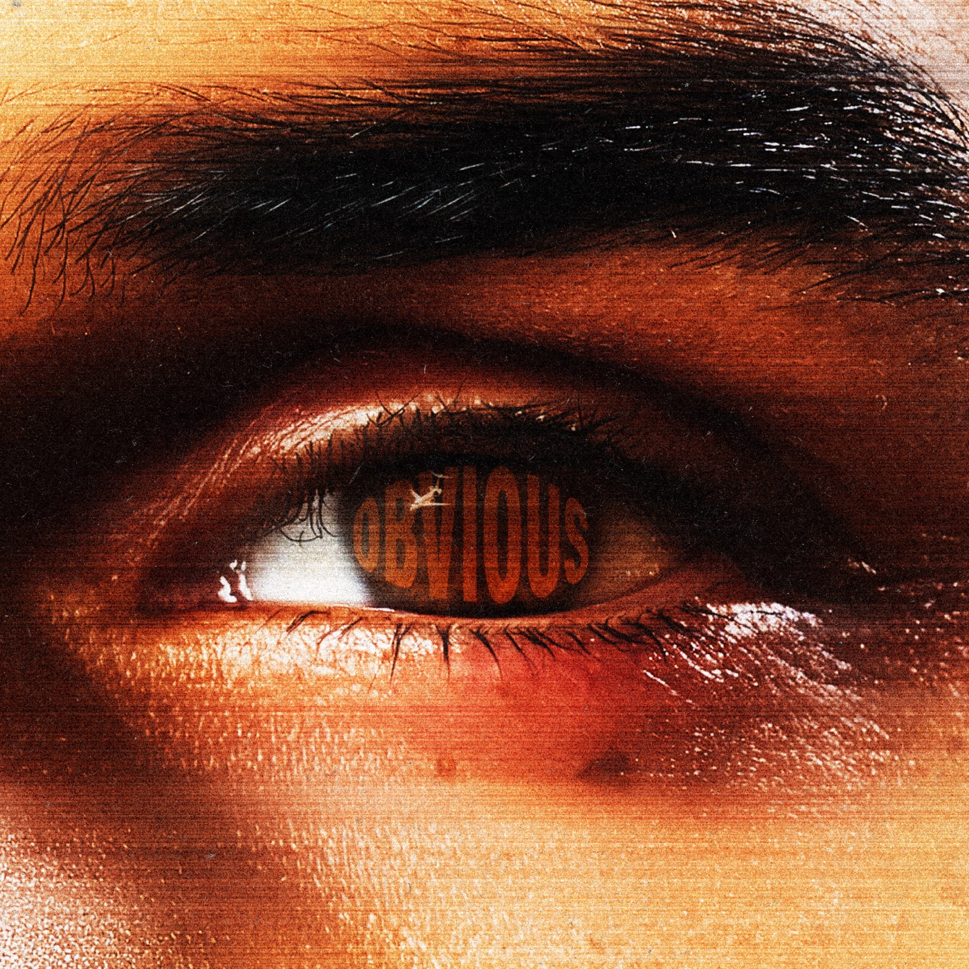 Obvious cover art