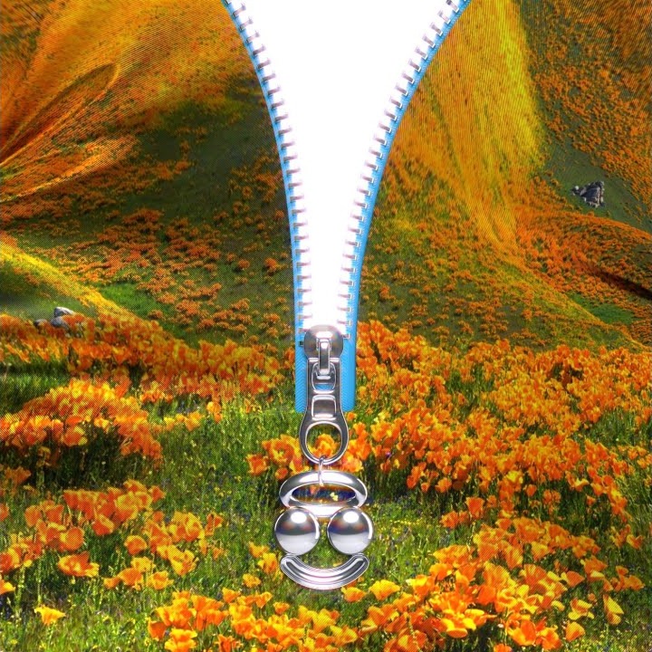 Lust For Life (BloodPop® Remix) cover art