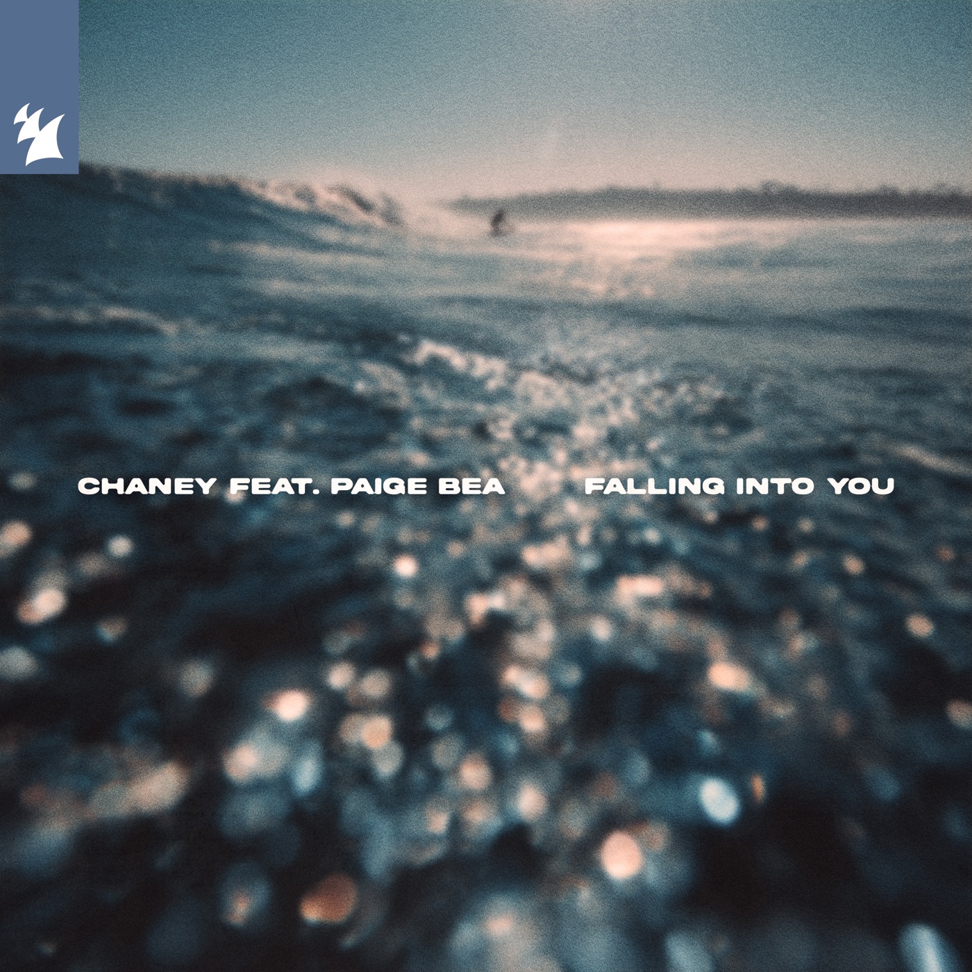 Falling Into You cover art