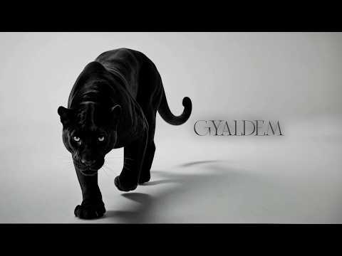 GYALDEM cover art