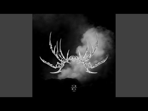THE VOID - Slowed cover art