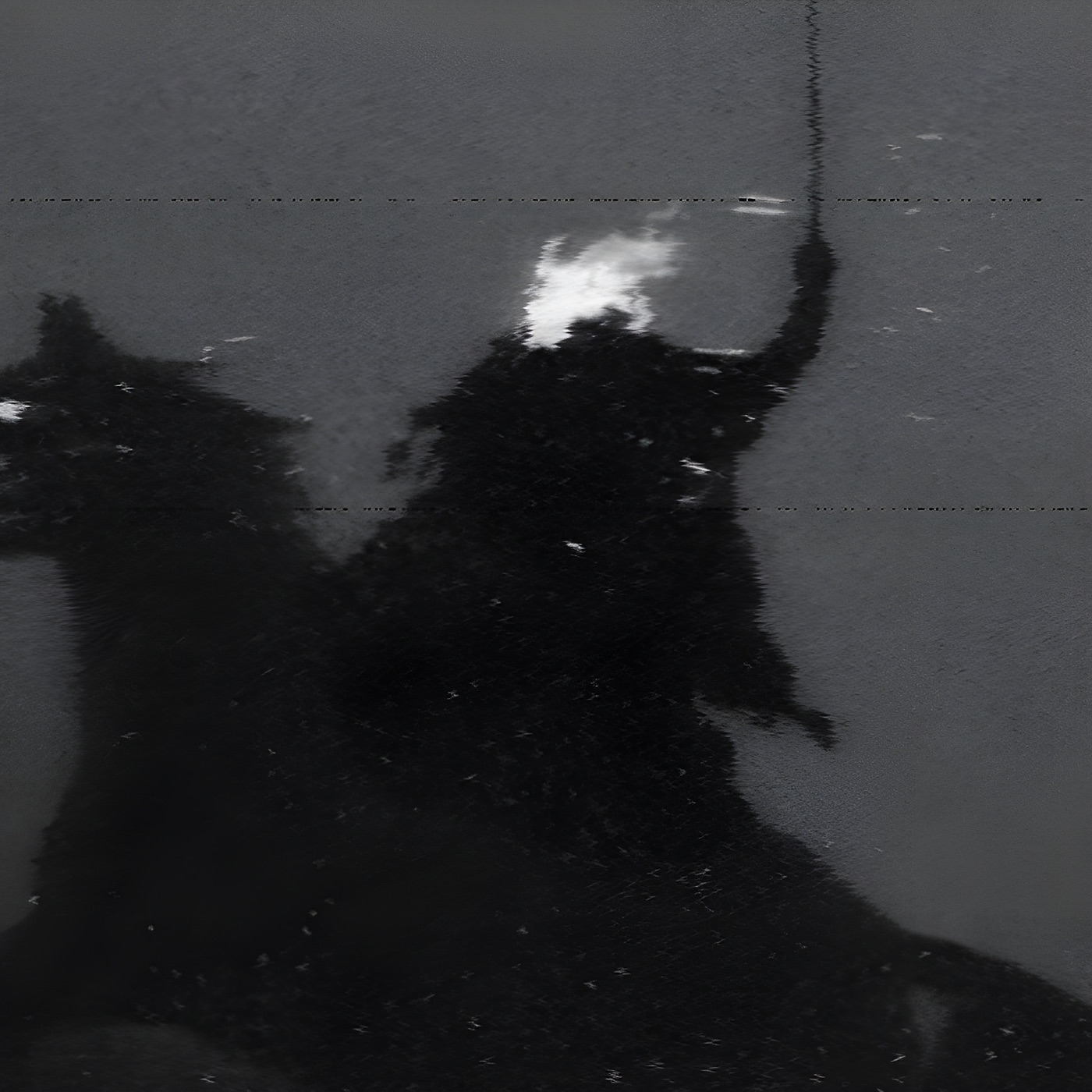 Rise from the Fall (Slowed) cover art