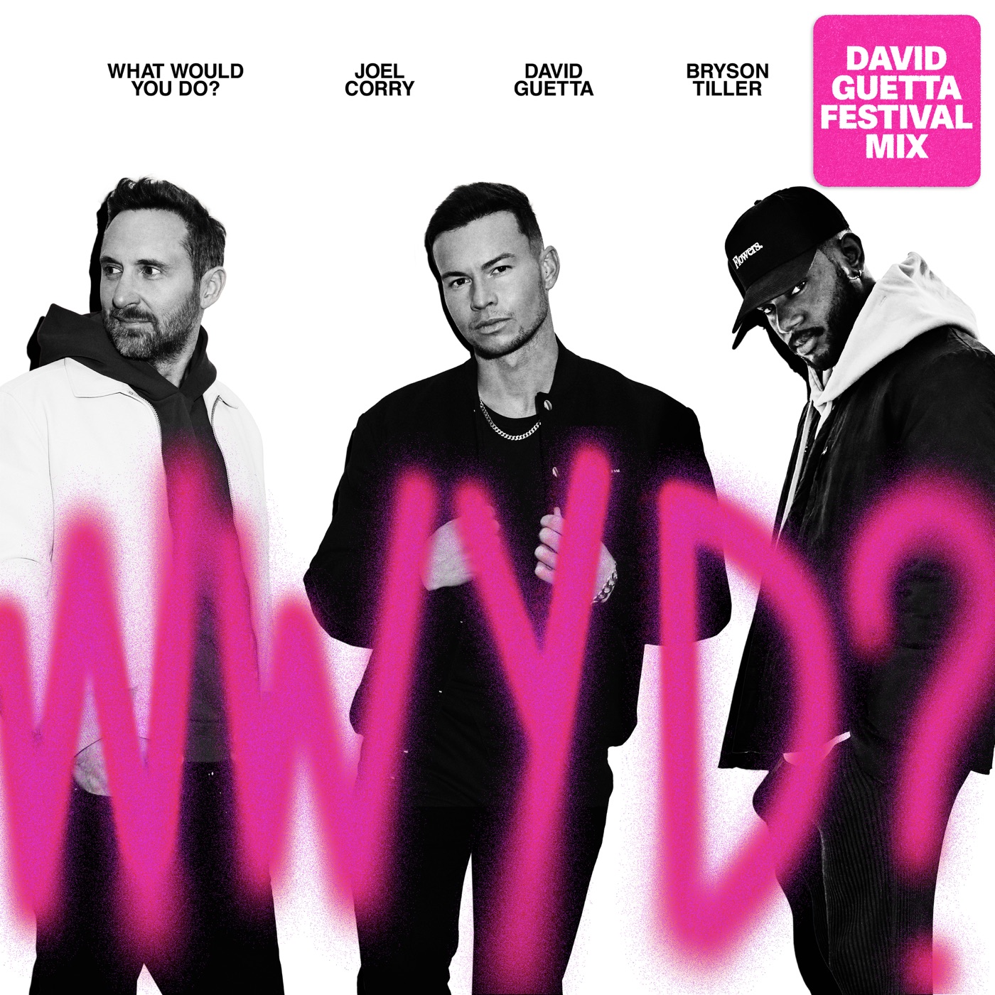 What Would You Do? [David Guetta Festival Mix] cover art