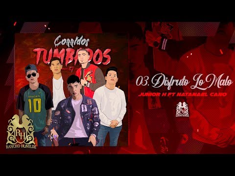 Disfruto Lo Malo cover art