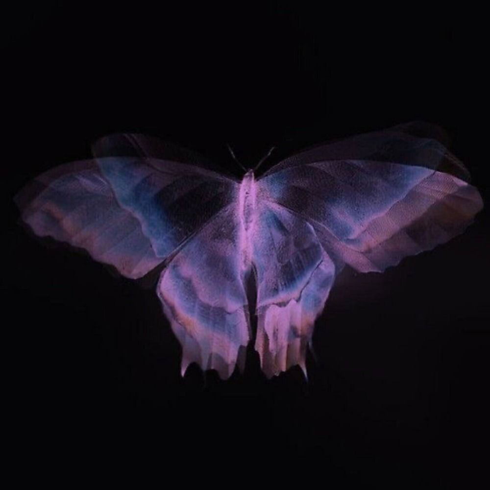 Spaceship cover art