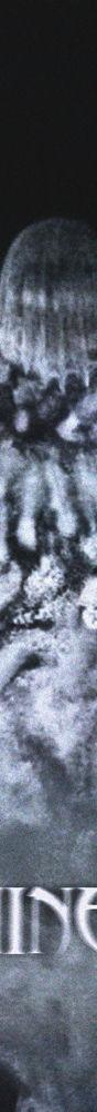 Darkhearth