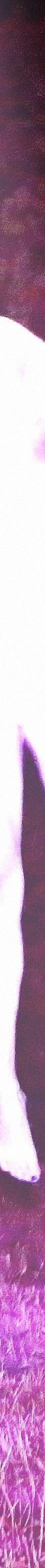 Goth (Slowed + Reverb)