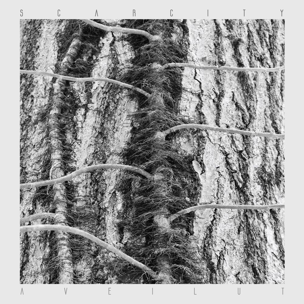 II cover art