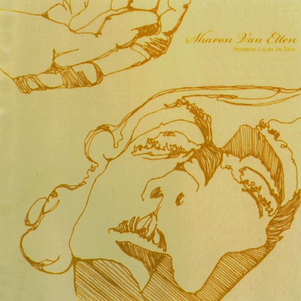 I Wish I Knew cover art