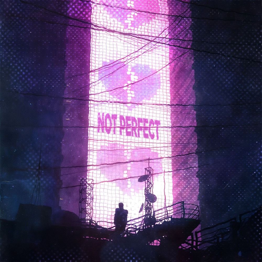 Not Perfect cover art