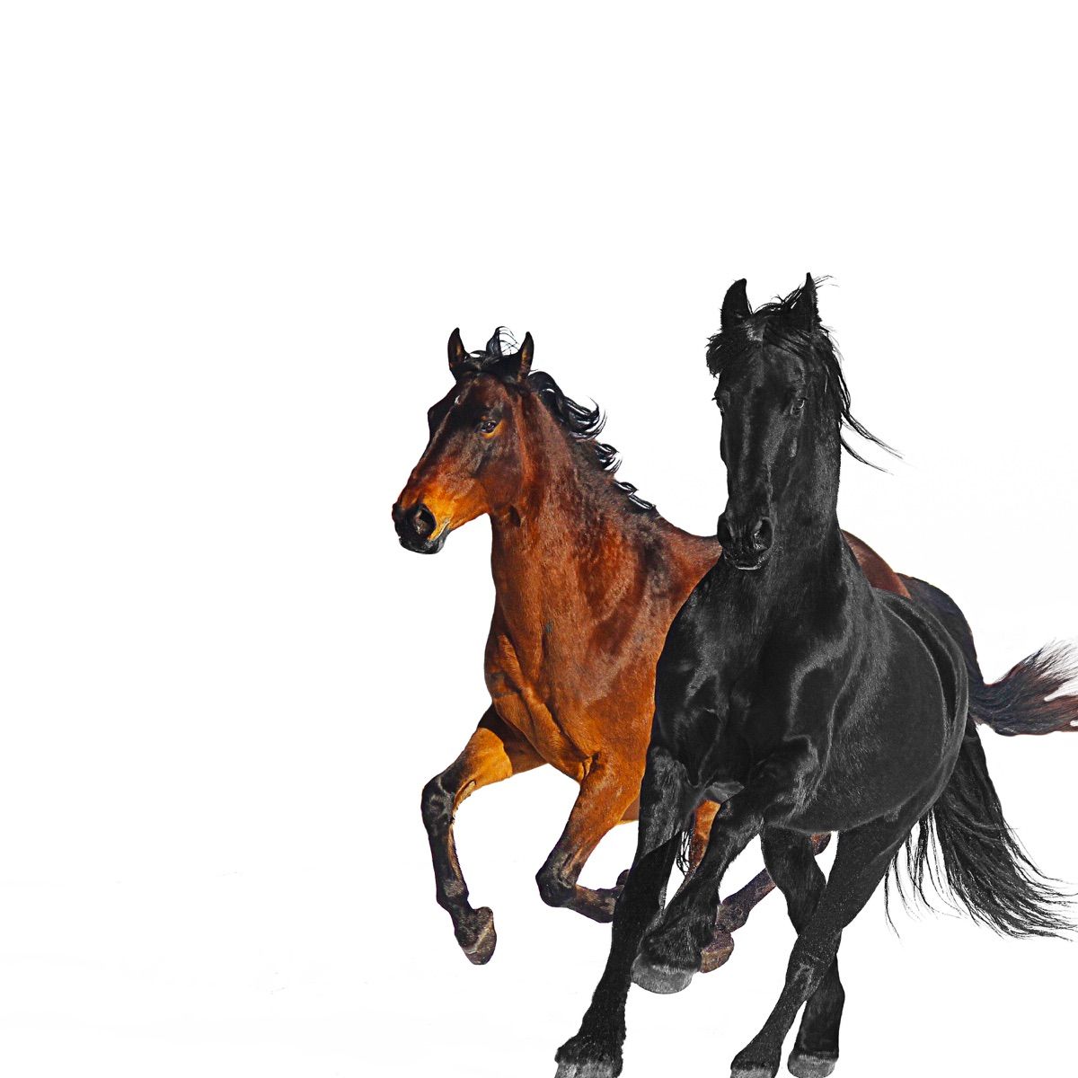 Old Town Road [Remix] cover art