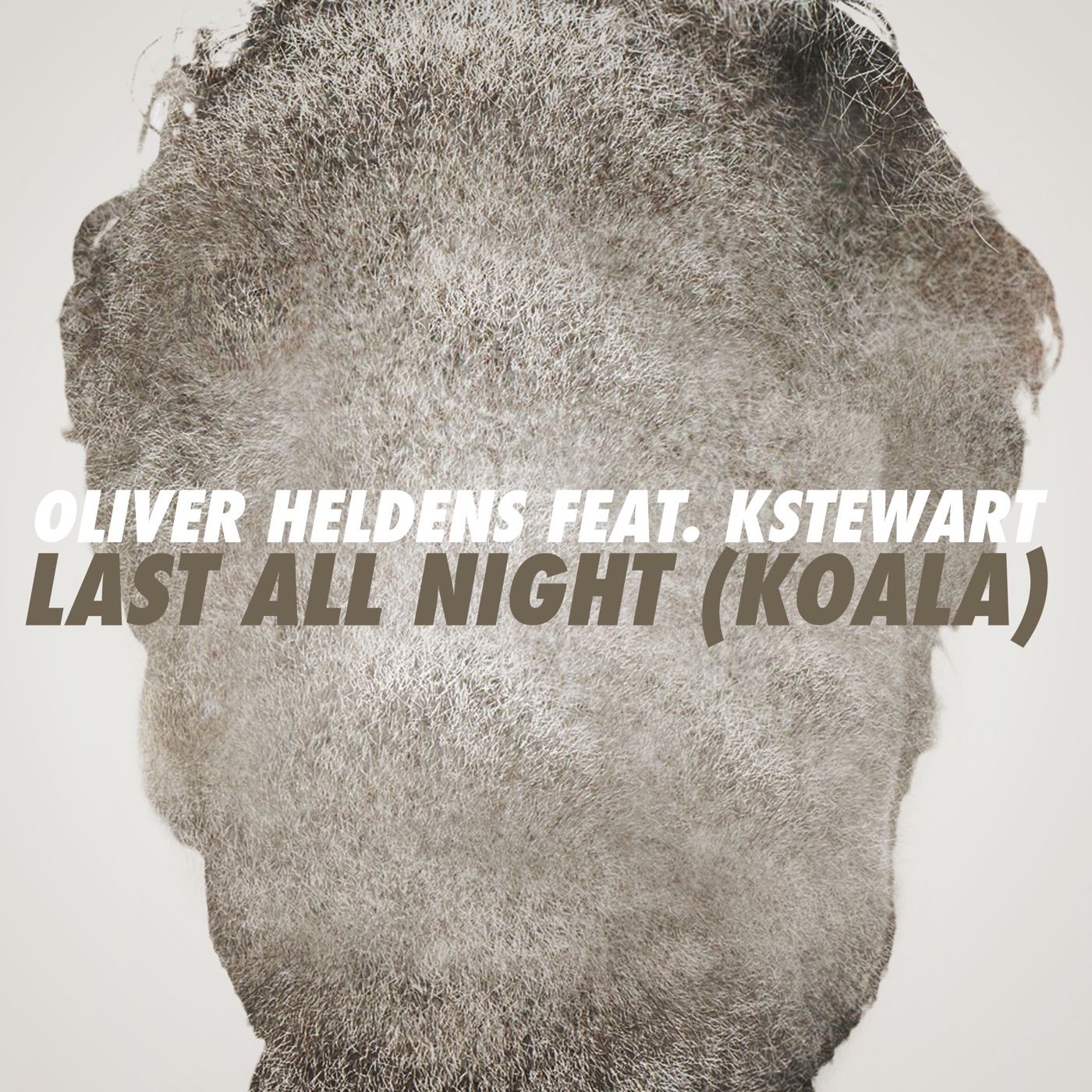 Koala cover art