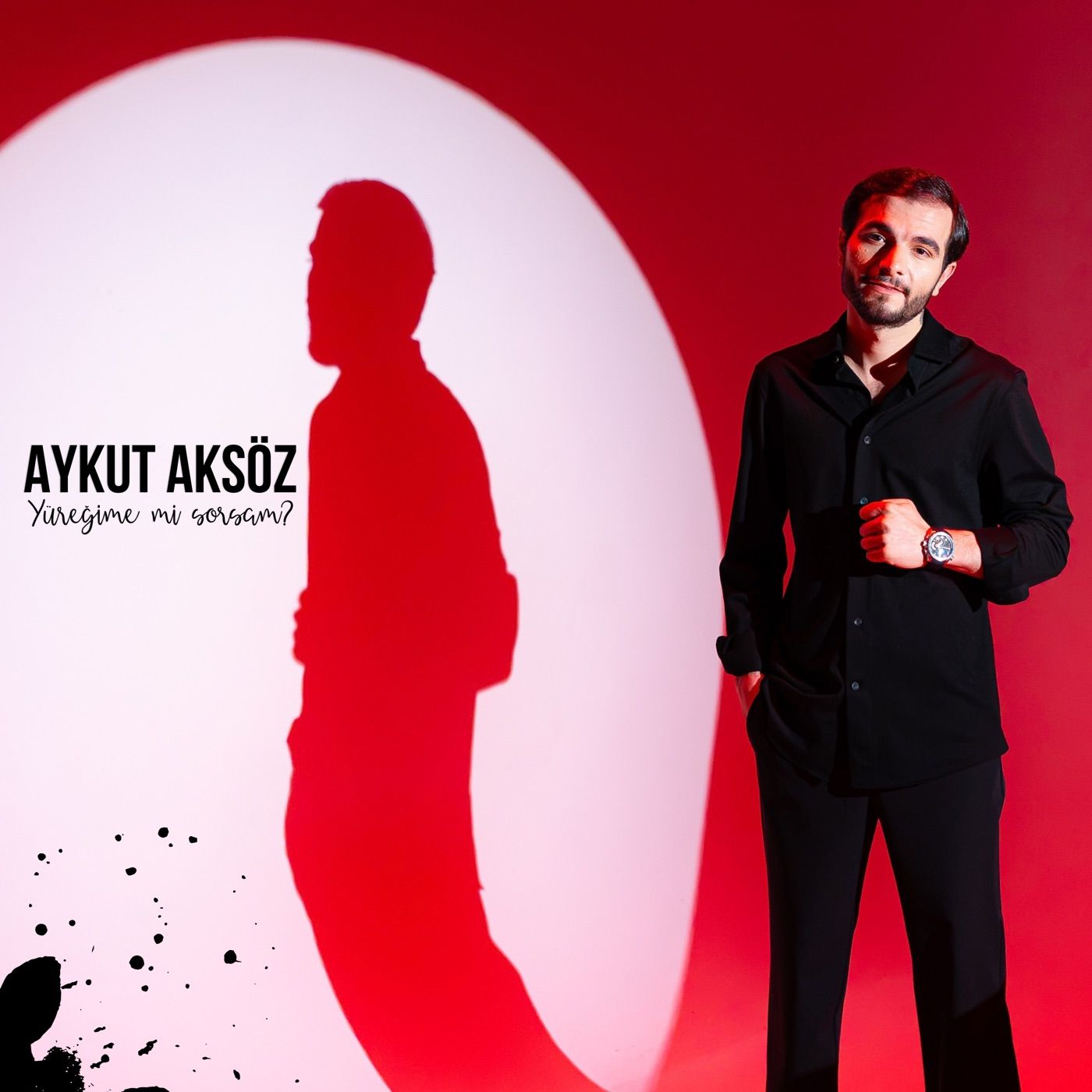 Yüreğime mi Sorsam? cover art