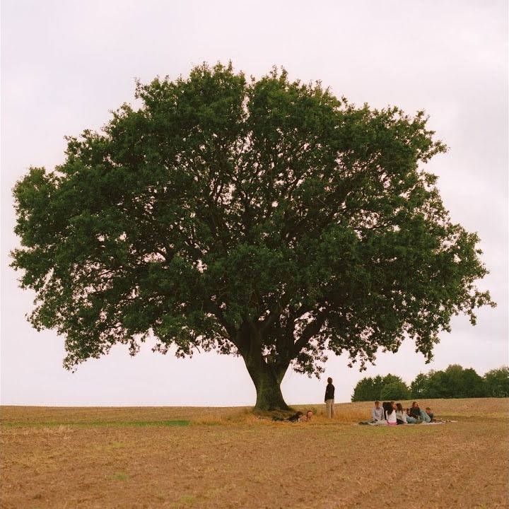 En drøm om et menneske cover art