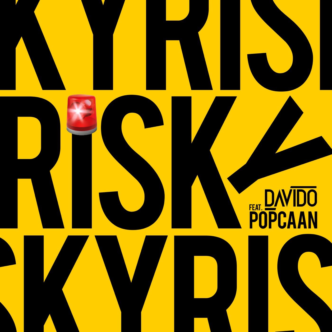 Risky cover art