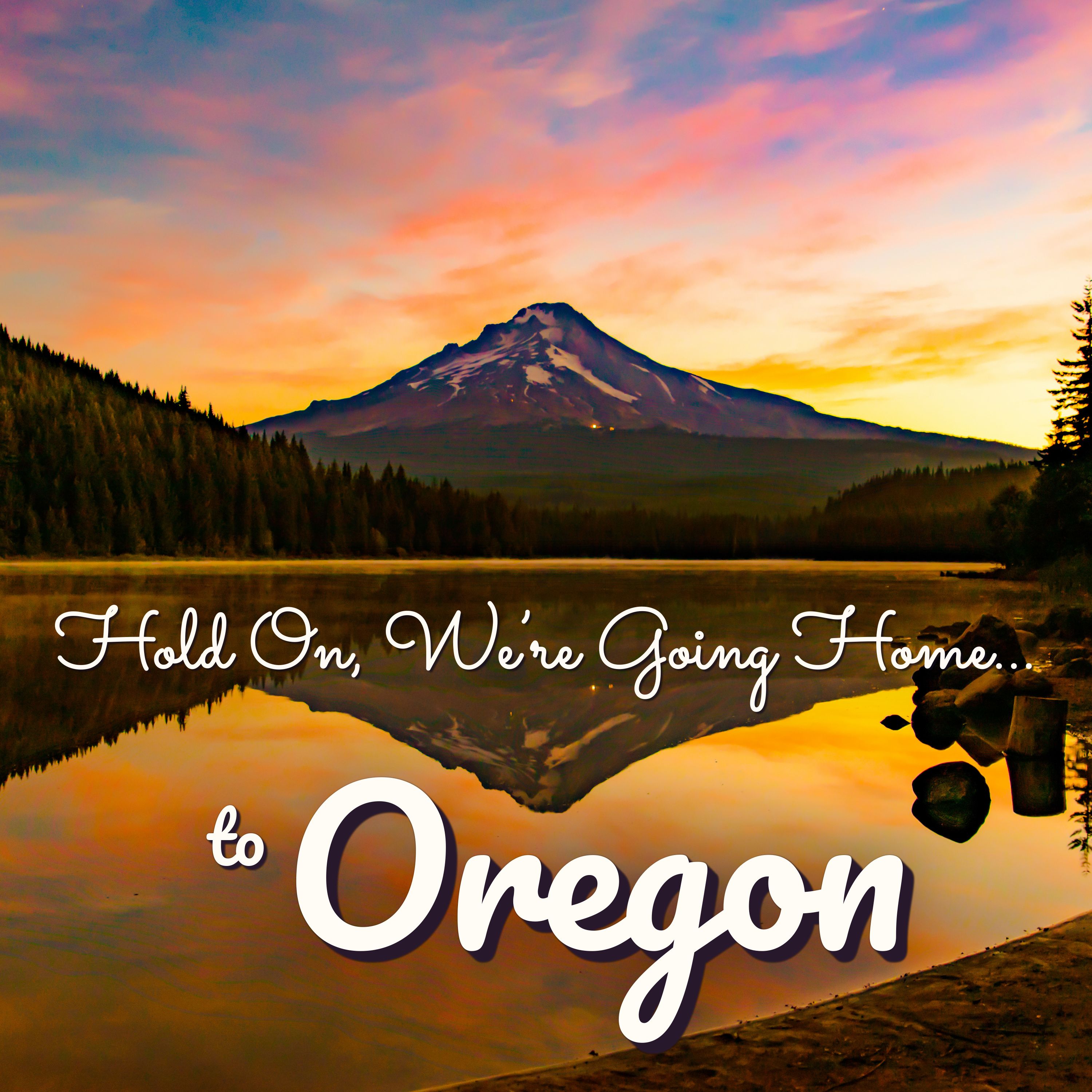 Hold On, We’re Going Home… to Oregon cover art