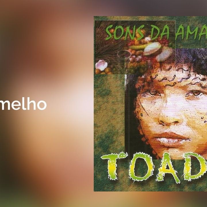 Vermelho cover art