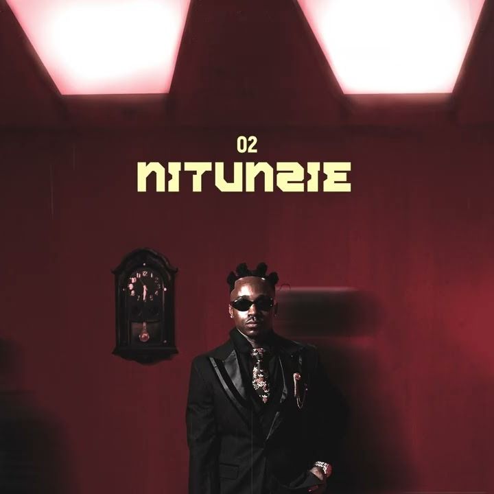 Nitunzie cover art