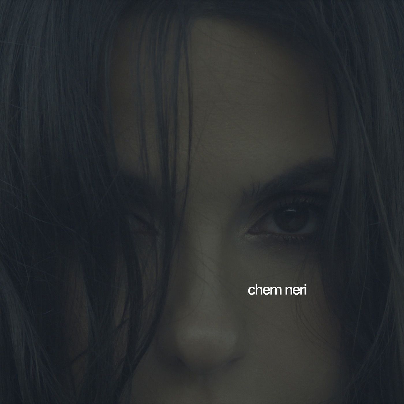 chem neri cover art