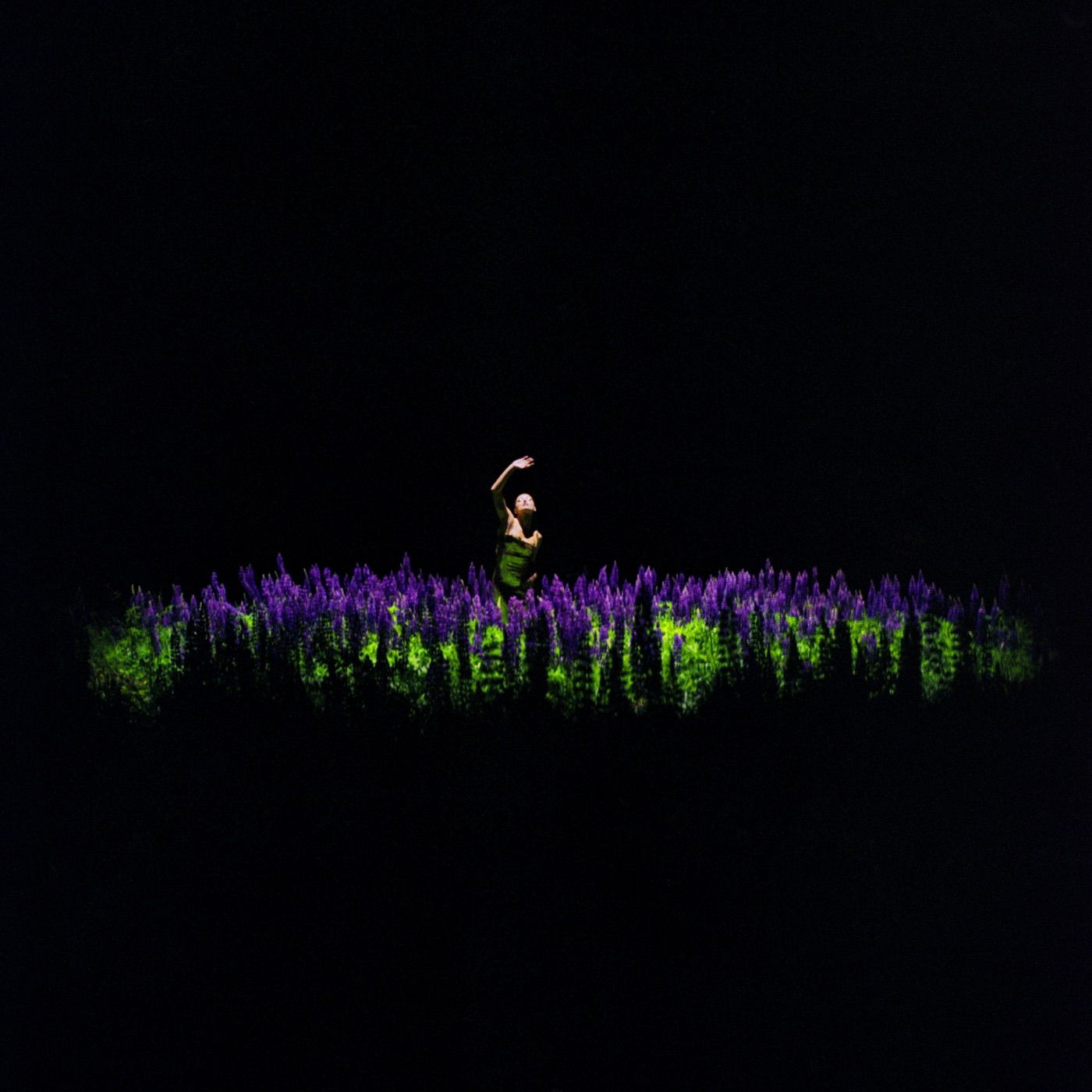 Kas Kaltas? cover art