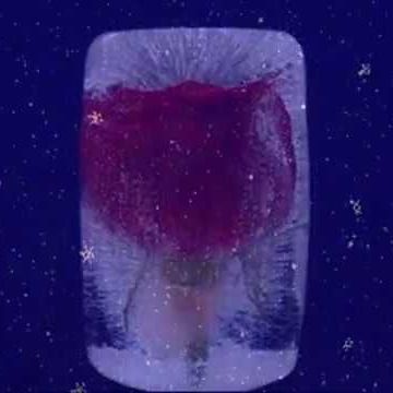 Ледяное сердце cover art