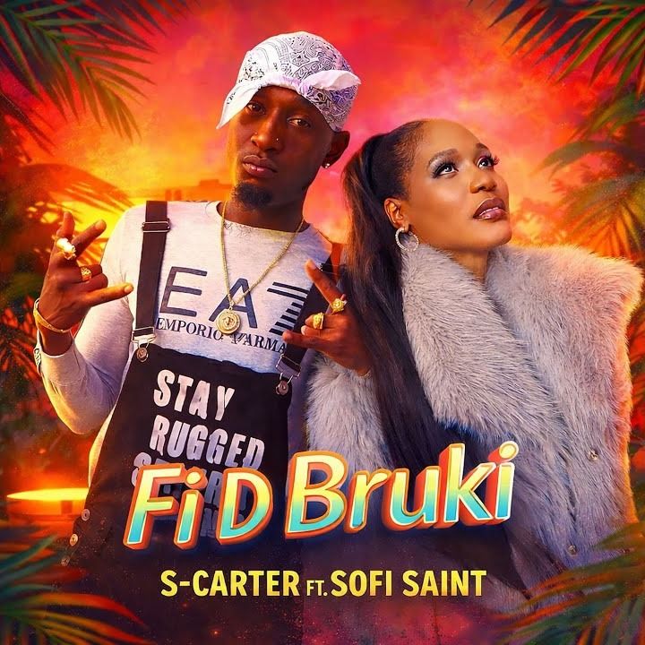 Fi D Bruki cover art