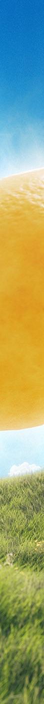 Lemon Tang