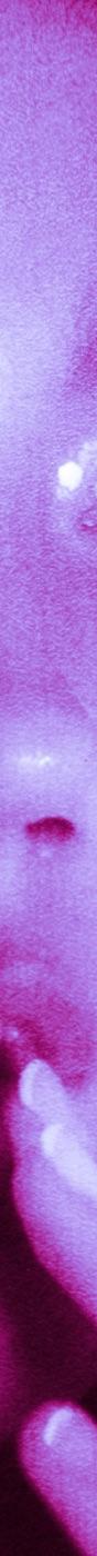 bloodstream