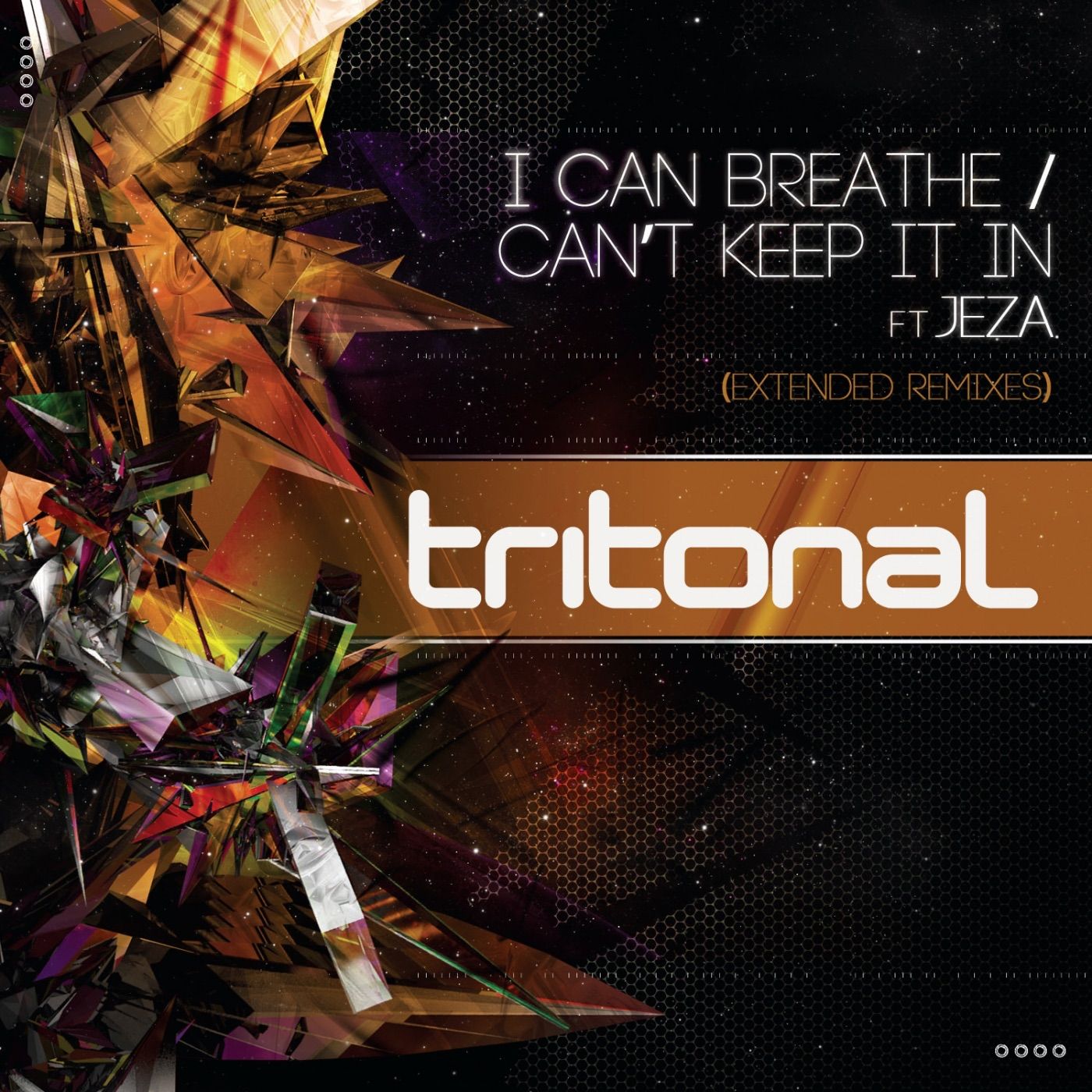 Can't Keep It in (Maor Levi's 'Starlight' Remix) cover art