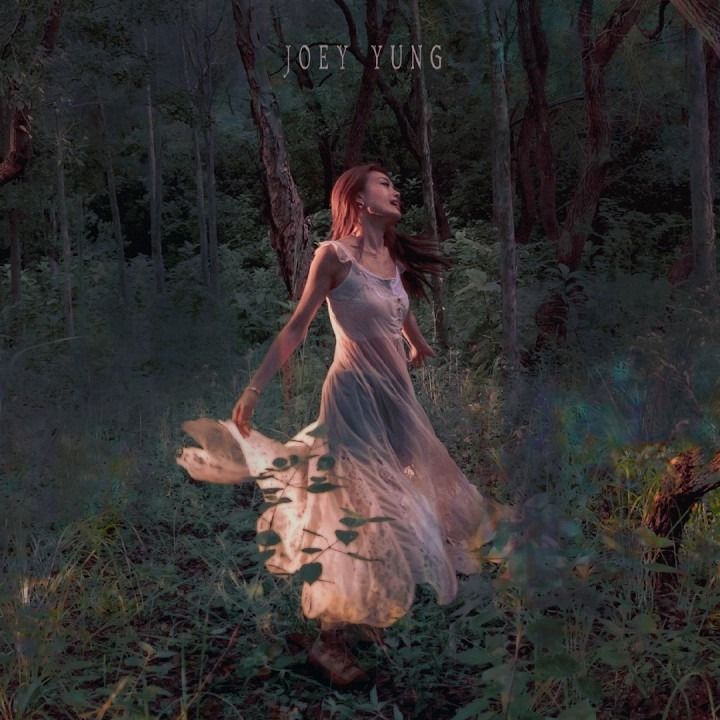 陽光普照 cover art