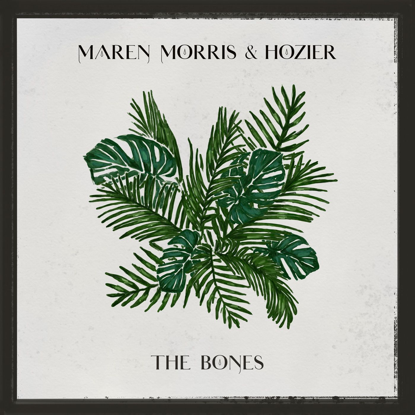 The Bones cover art
