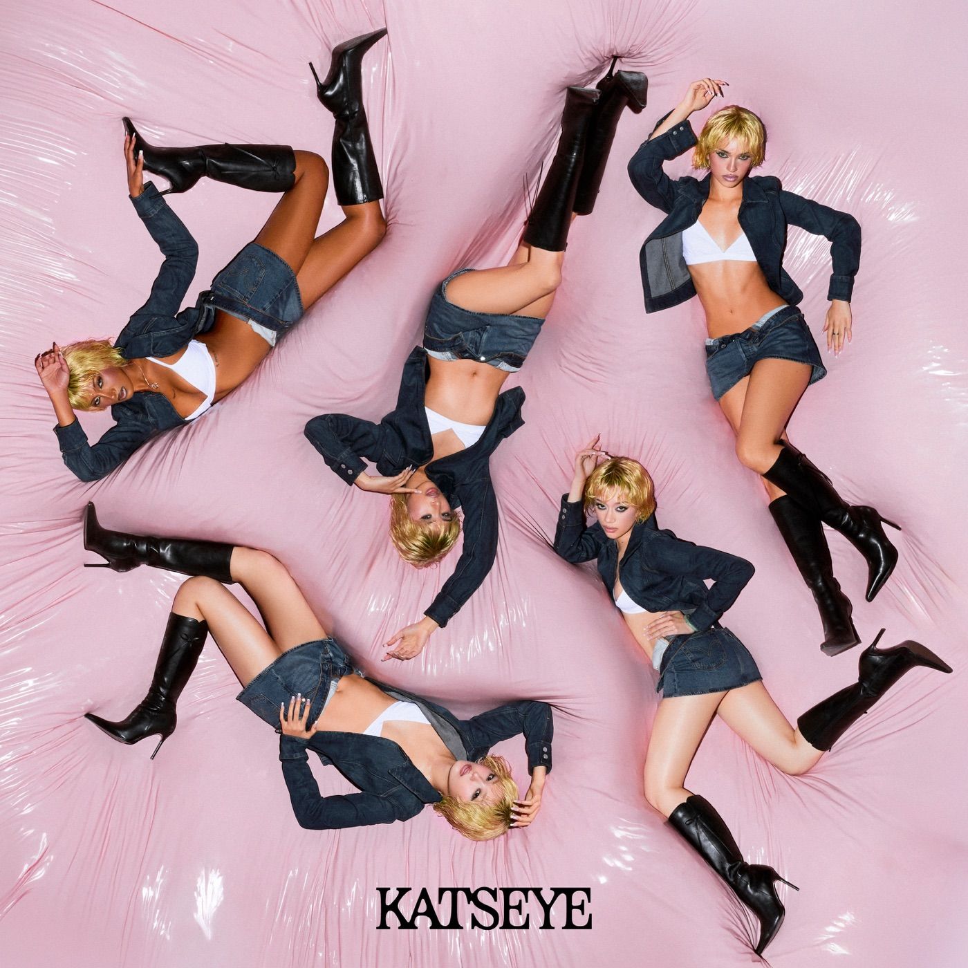 Animal cover art