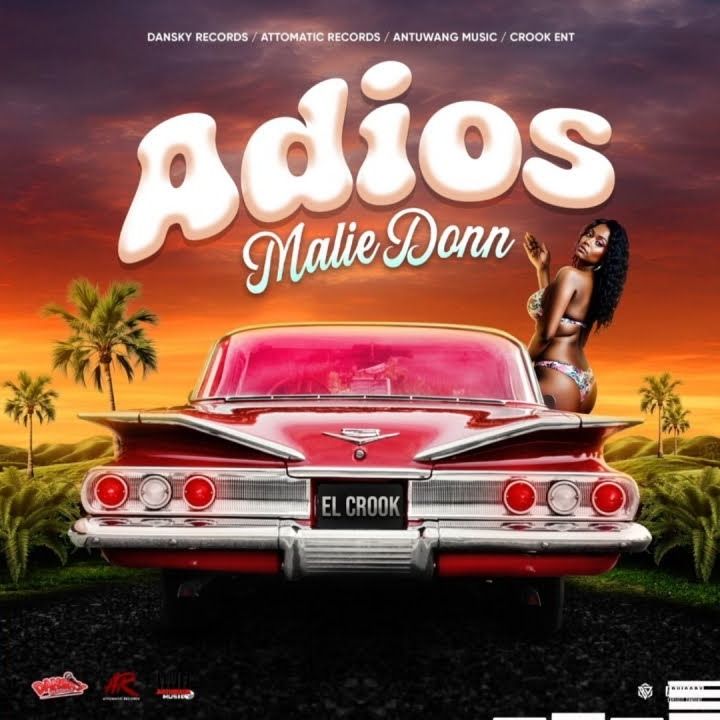 Adios cover art