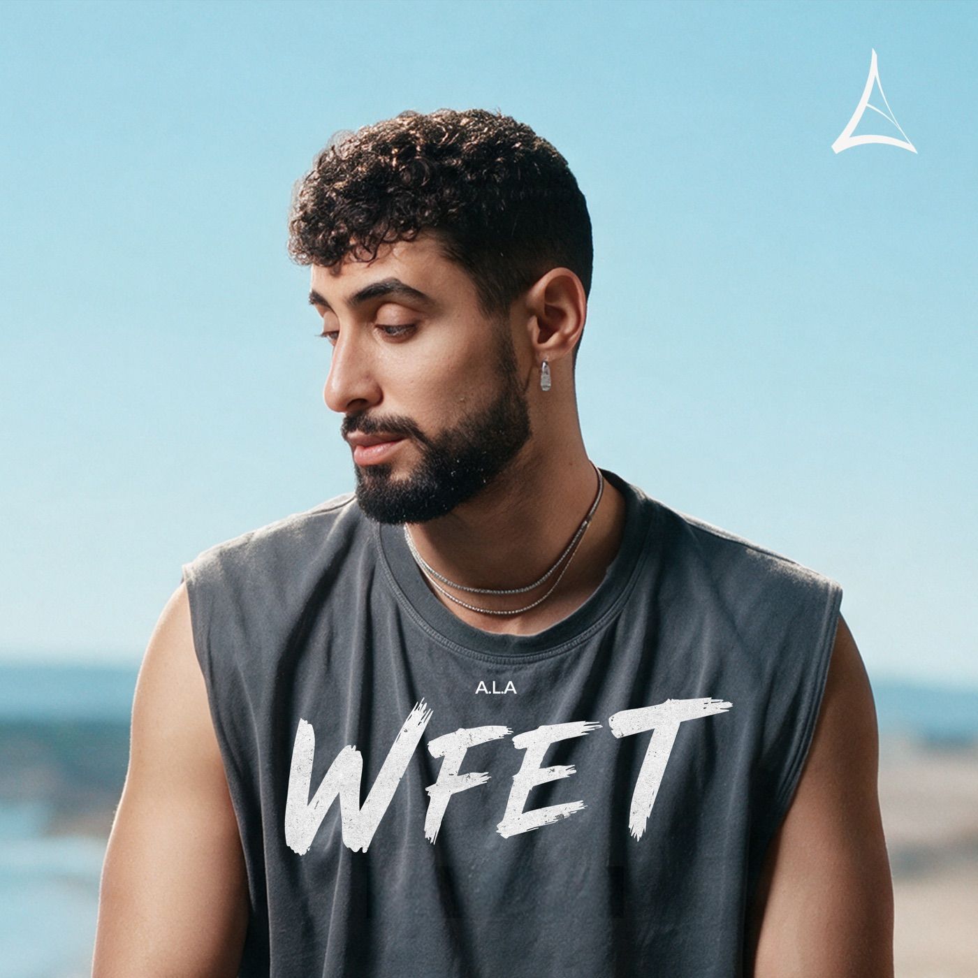Wfet cover art
